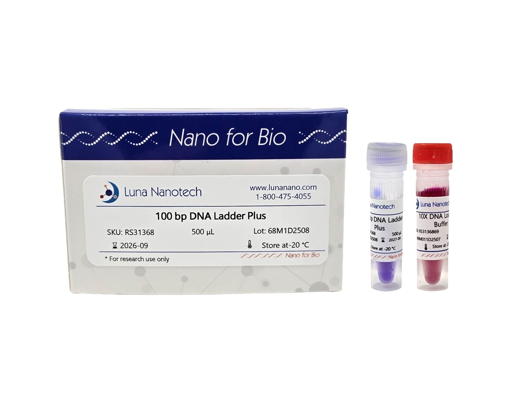 100 bp DNA Ladder Plus, Ready to Use