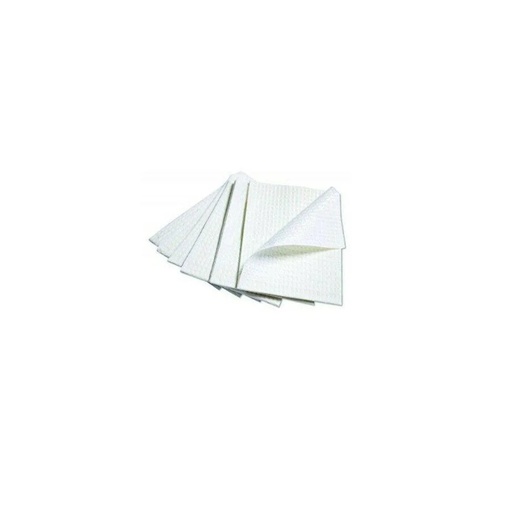 [PP129-W] D2: Dental Bibs 2 Ply 1 Ply Poly White 500/Case PP129-W