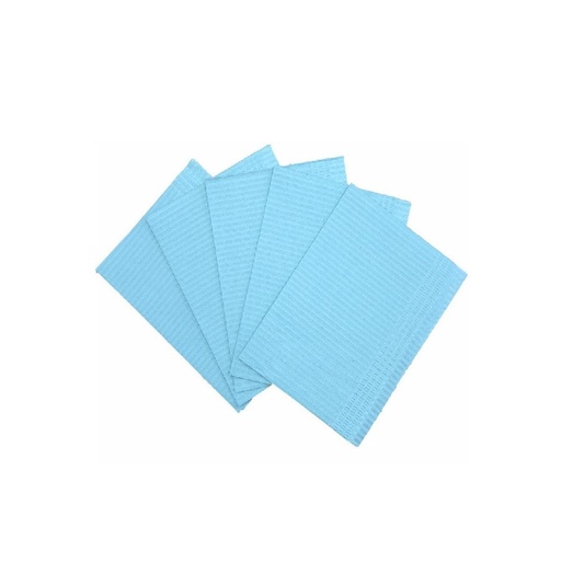 [PP129-B] D2: Dental Bibs 2 Ply 1 Ply Poly Blue 500/Case